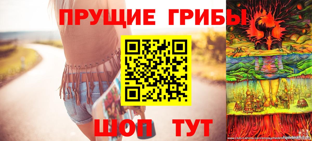 Псилоцибиновые грибы Psilocybe Камень-на-Оби