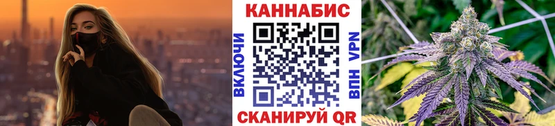 Конопля план  Камень-на-Оби 